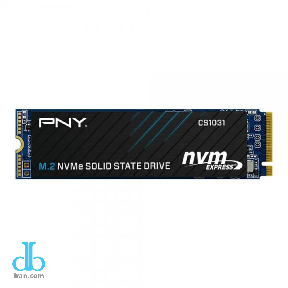 اس اس دی اینترنال پی ان وای مدل CS1031 M.2 2280 NVMe Gen3x4 SSD 256GB
